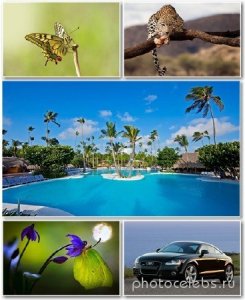  Best HD Wallpapers Pack №1355 