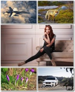 Best HD Wallpapers Pack №1364 
