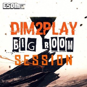  DIM2PLAY - Bigroom session level 1 (2015) 