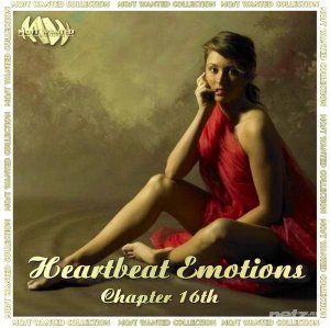  Various Artist - Heartbeat Emotions vol.16 (2009) 
