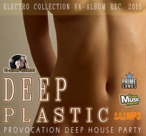  Provocation Deep Plastic House (2015) 