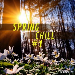  Spring Chill #1 (2015) 
