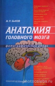  Быков М.П. - Анатомия головного мозга. Фотографический атлас 