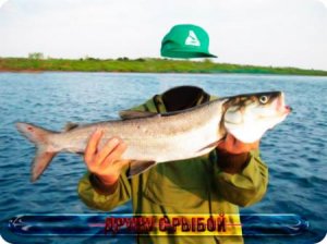  Мужской фото шаблон - Дружу с рыбой 