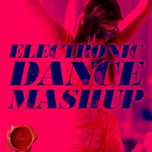  Electronic Dance Mash Up Louder (2015) 