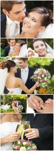 Bride and groom - wedding Stock Photo 