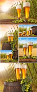  Beer, hops, beer glasses - Stock photo 
