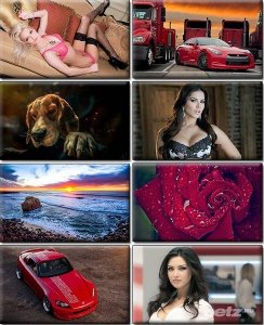  LIFEstyle News MiXture Images. Wallpapers Part (860) 
