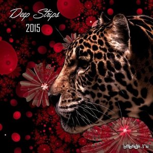  Deep Strips Year End (2015) 